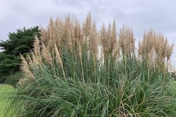今日の一枚